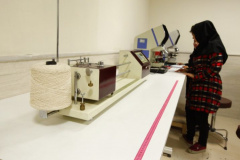 Prof. Arshadi Building - Carpet Quality Control Laboratory 5